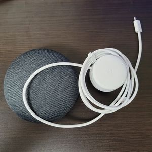 Google Home (Mini)